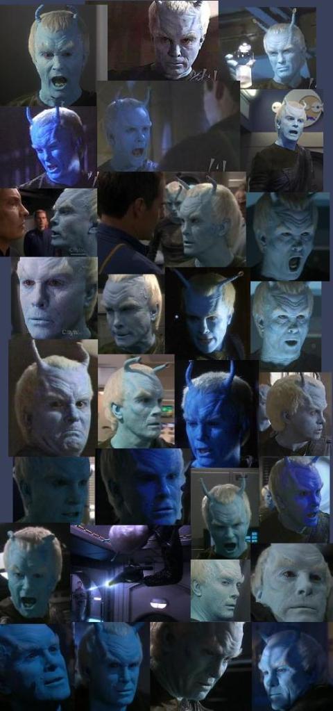 7shran99