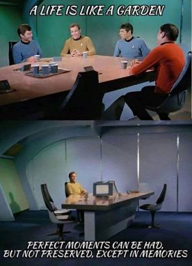 11044552_10205980493214240_5378458843096645136_n